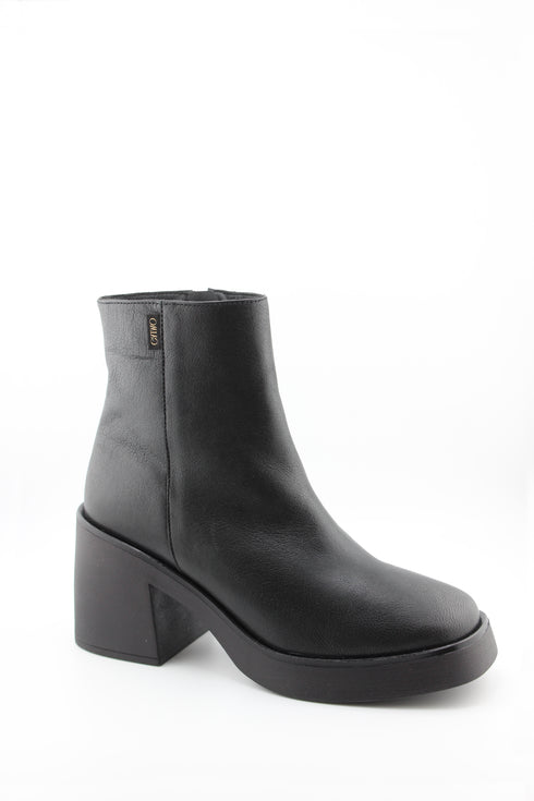 Gaimo Sleek Leather Platform Ankle Boots