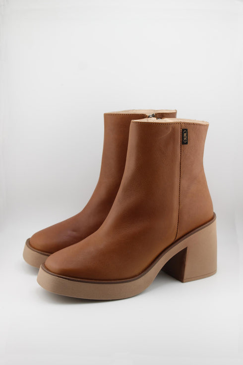 Gaimo Sleek Leather Platform Ankle Boots