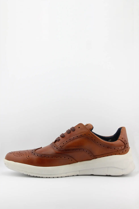 Baerchi Men Brogue Leather Sneaker with Perforation