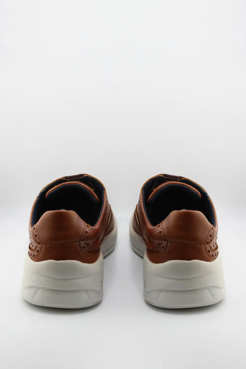 Baerchi Men Brogue Leather Sneaker with Perforation