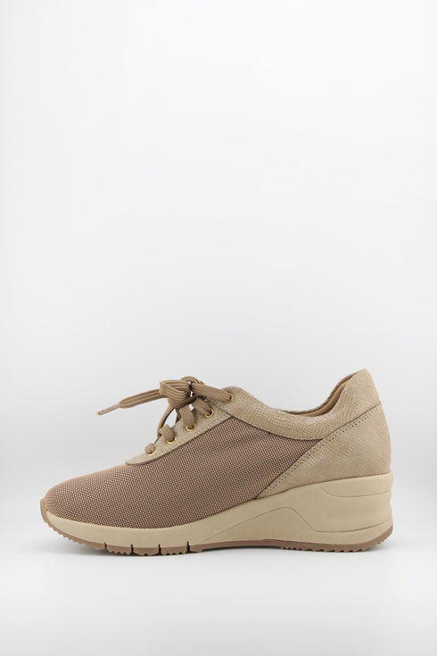 Ragazza Mesh Patterned Wedge Lace-Up Shoes