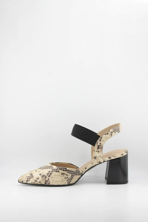 Capelli Rossi Snakeskin Pointed Toe Block Heels