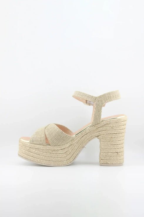 Gaimo Chunky Ankle Strap Platform Sandals