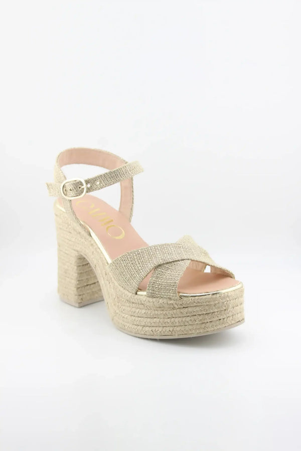 Gaimo Chunky Ankle Strap Platform Sandals