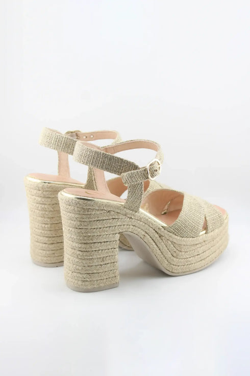 Gaimo Chunky Ankle Strap Platform Sandals